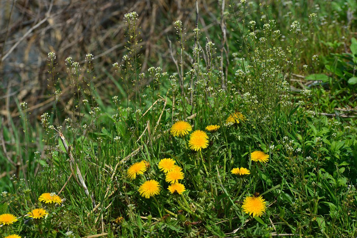 16K_2681.jpg