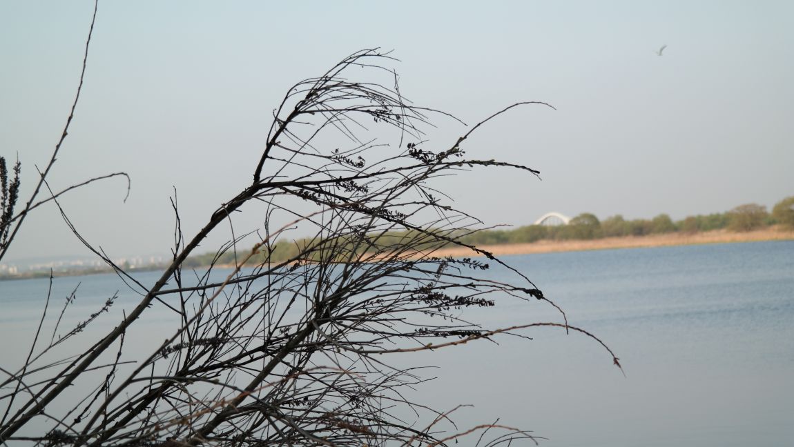 SAM_0551.JPG