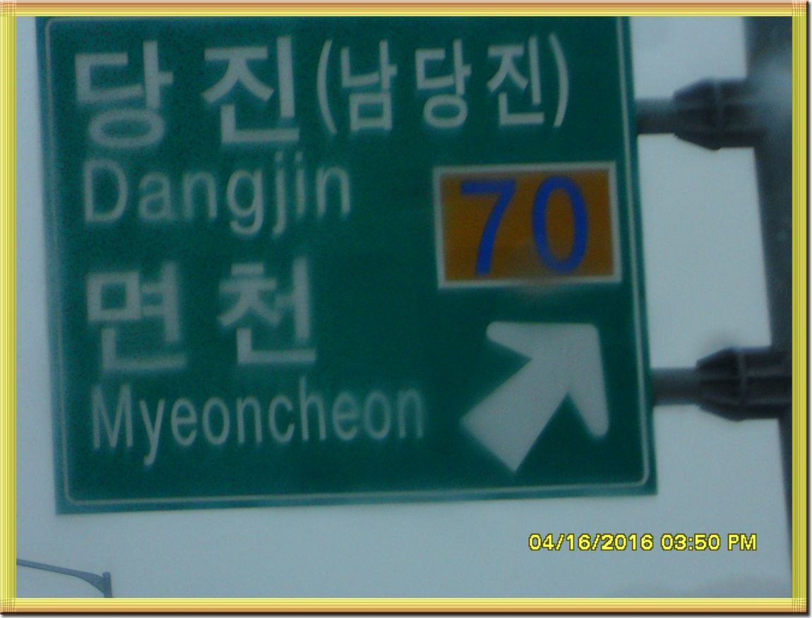 SDC10214.jpg