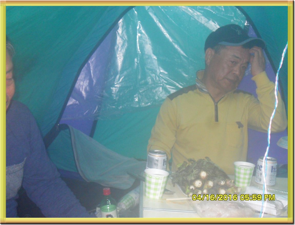 SDC10220.jpg