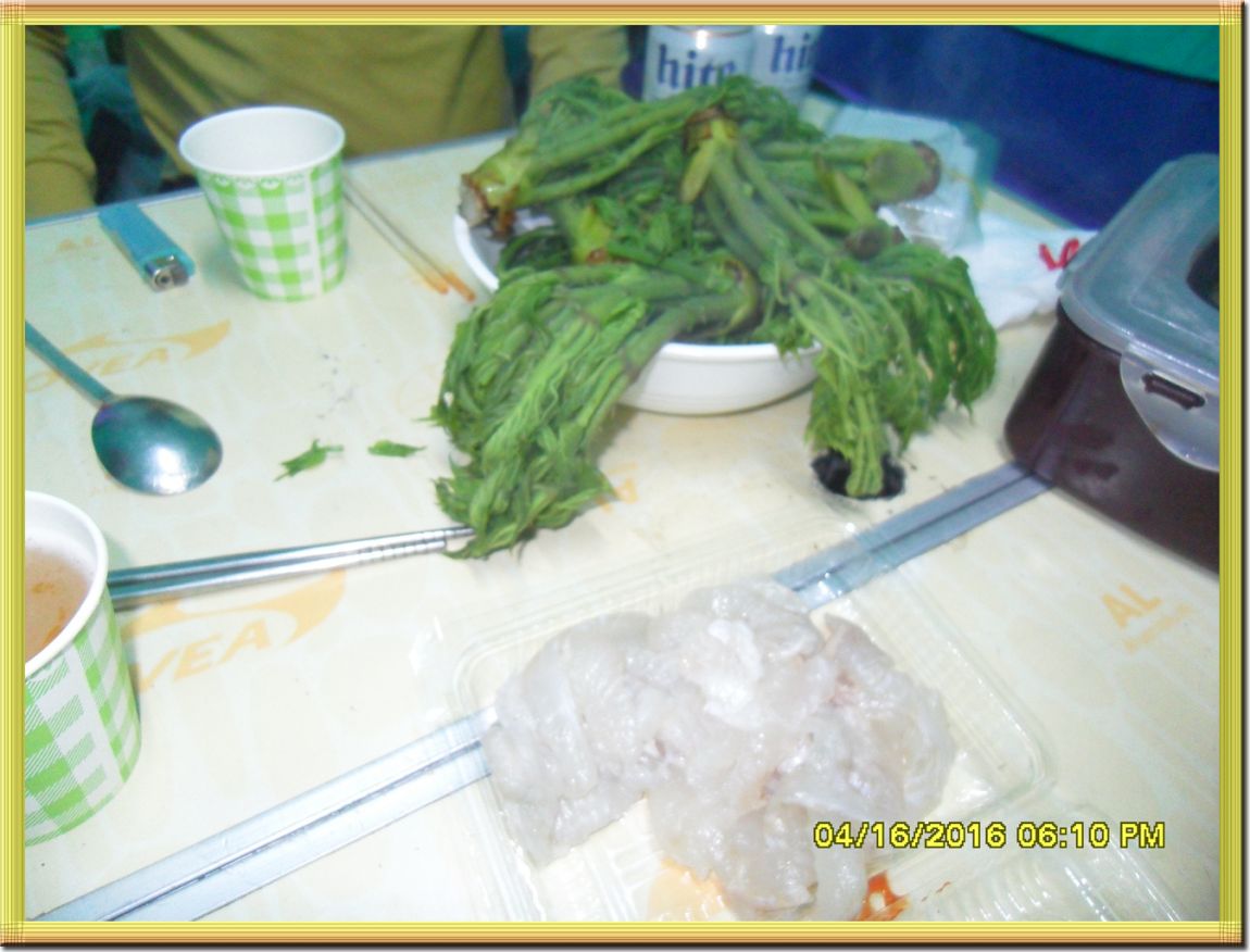 SDC10221.jpg