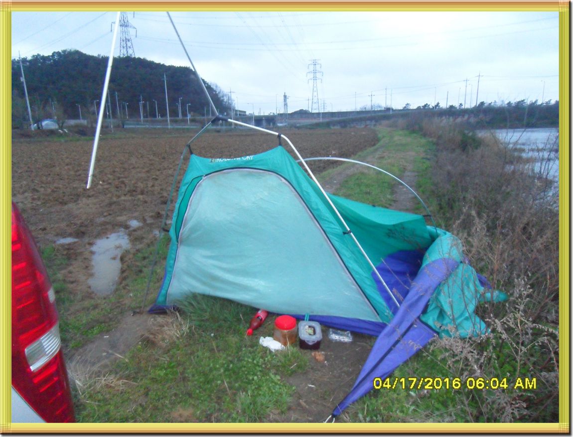 SDC10224.jpg