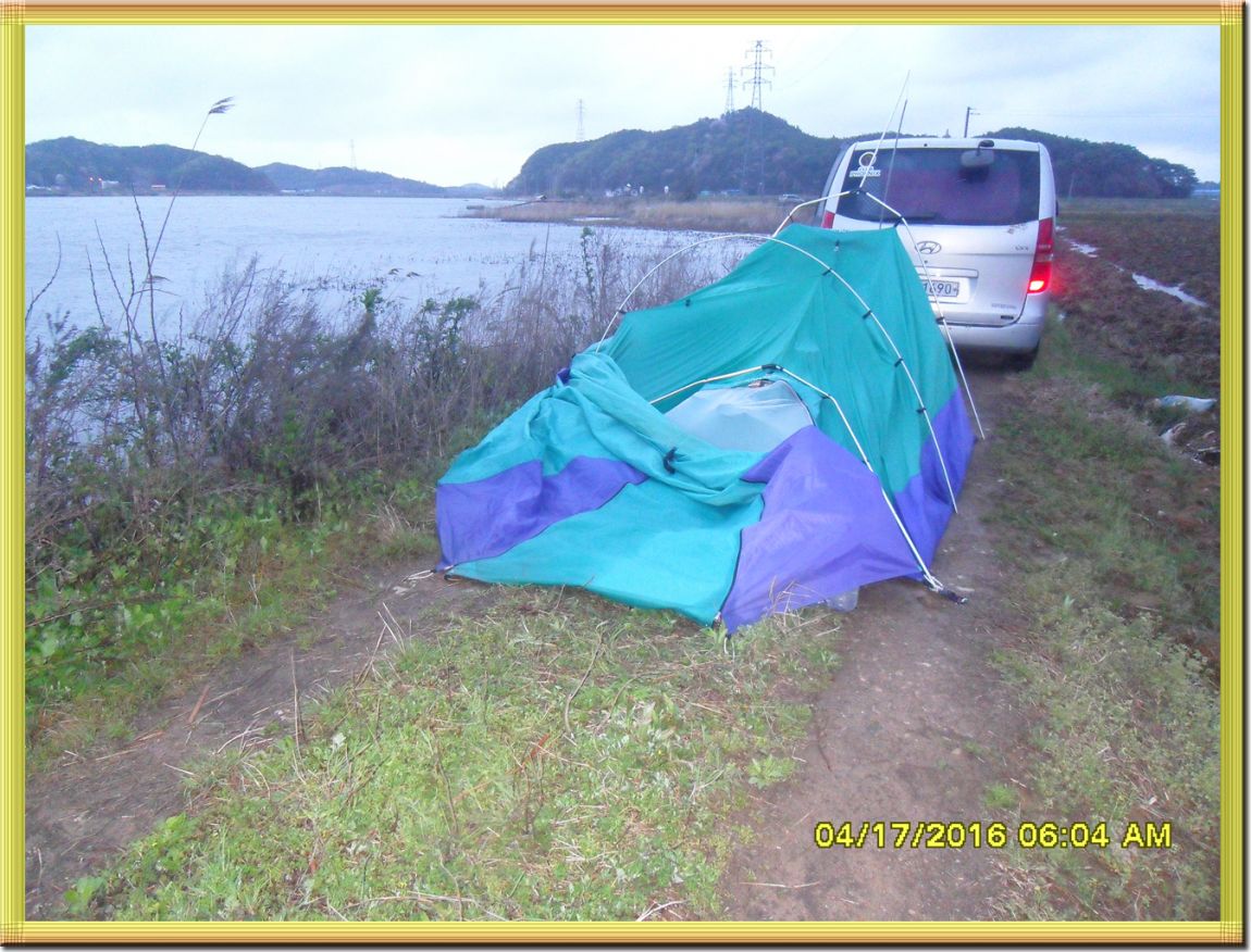 SDC10225.jpg