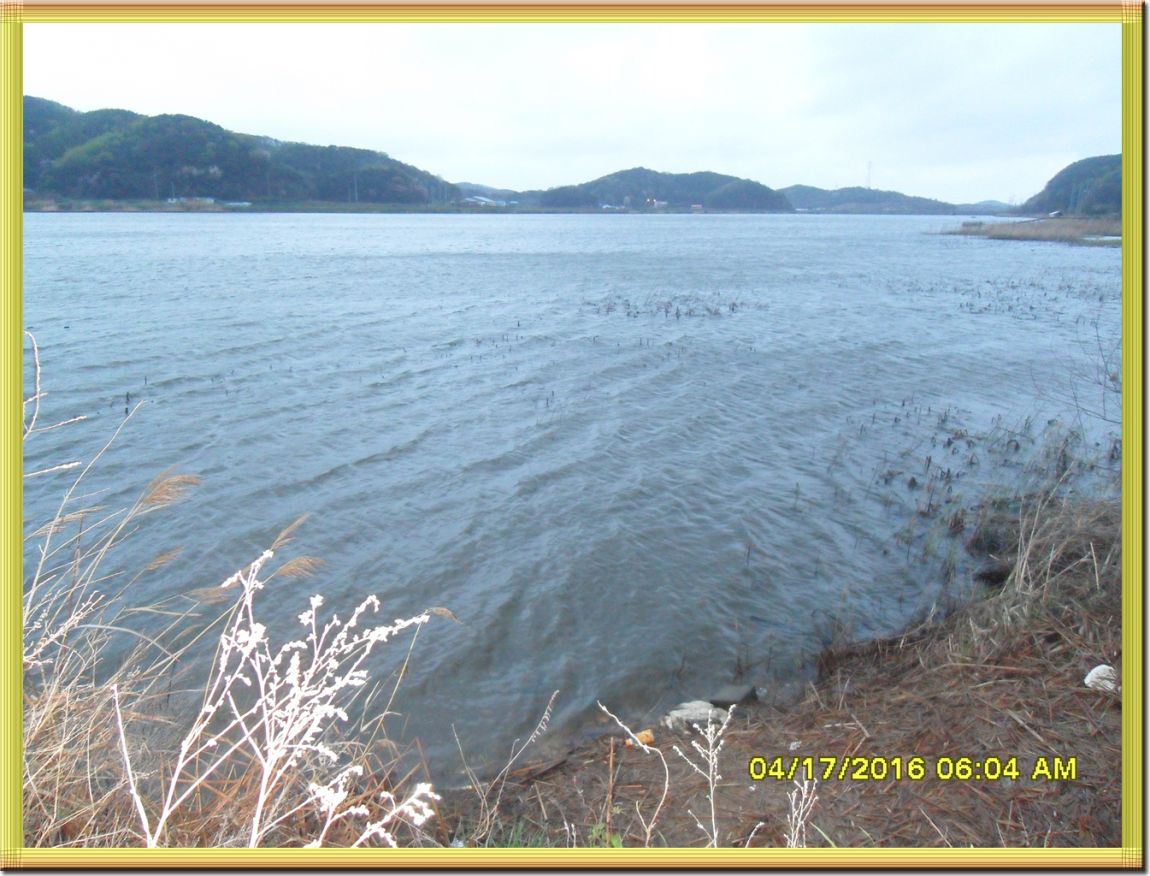 SDC10226.jpg
