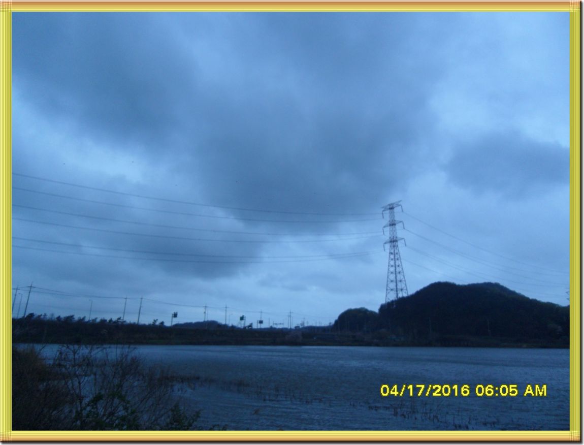 SDC10227.jpg