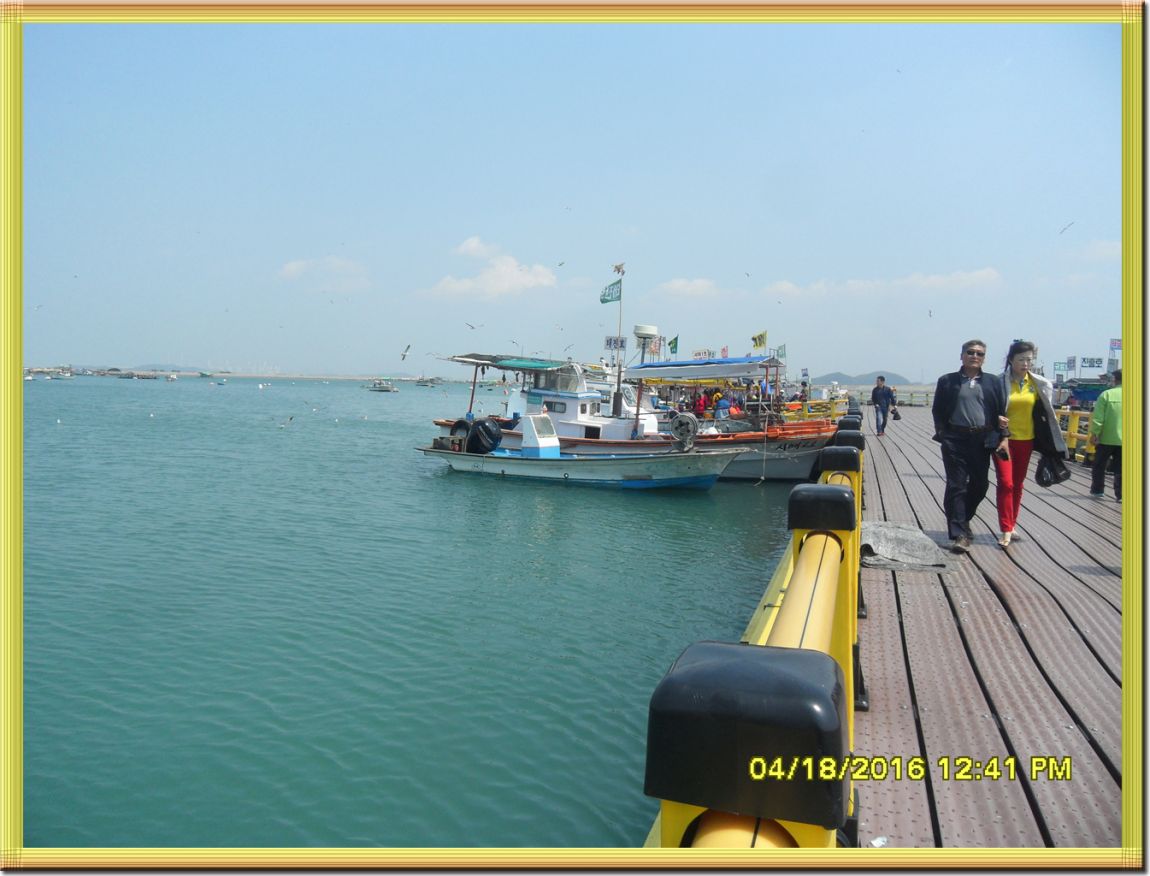 SDC10247.jpg