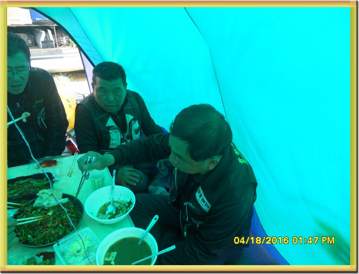 SDC10252.jpg
