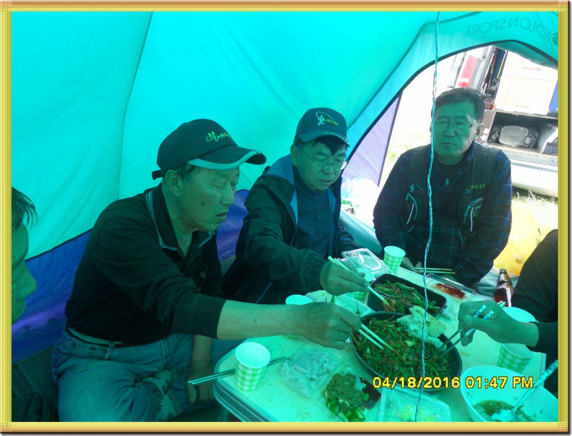 SDC10253.jpg