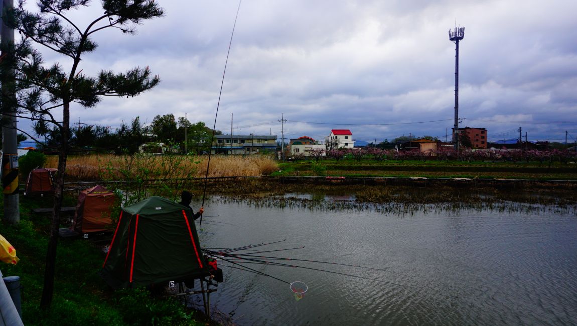 DSC04617.JPG