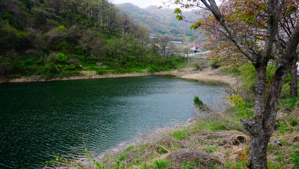 DSC04697.JPG