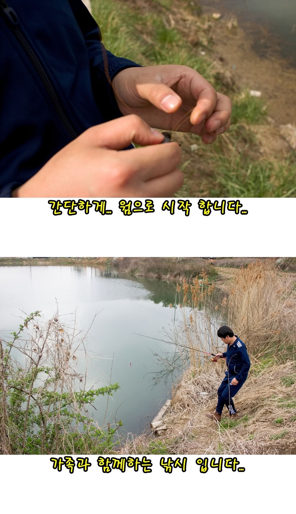 02-vert.jpg