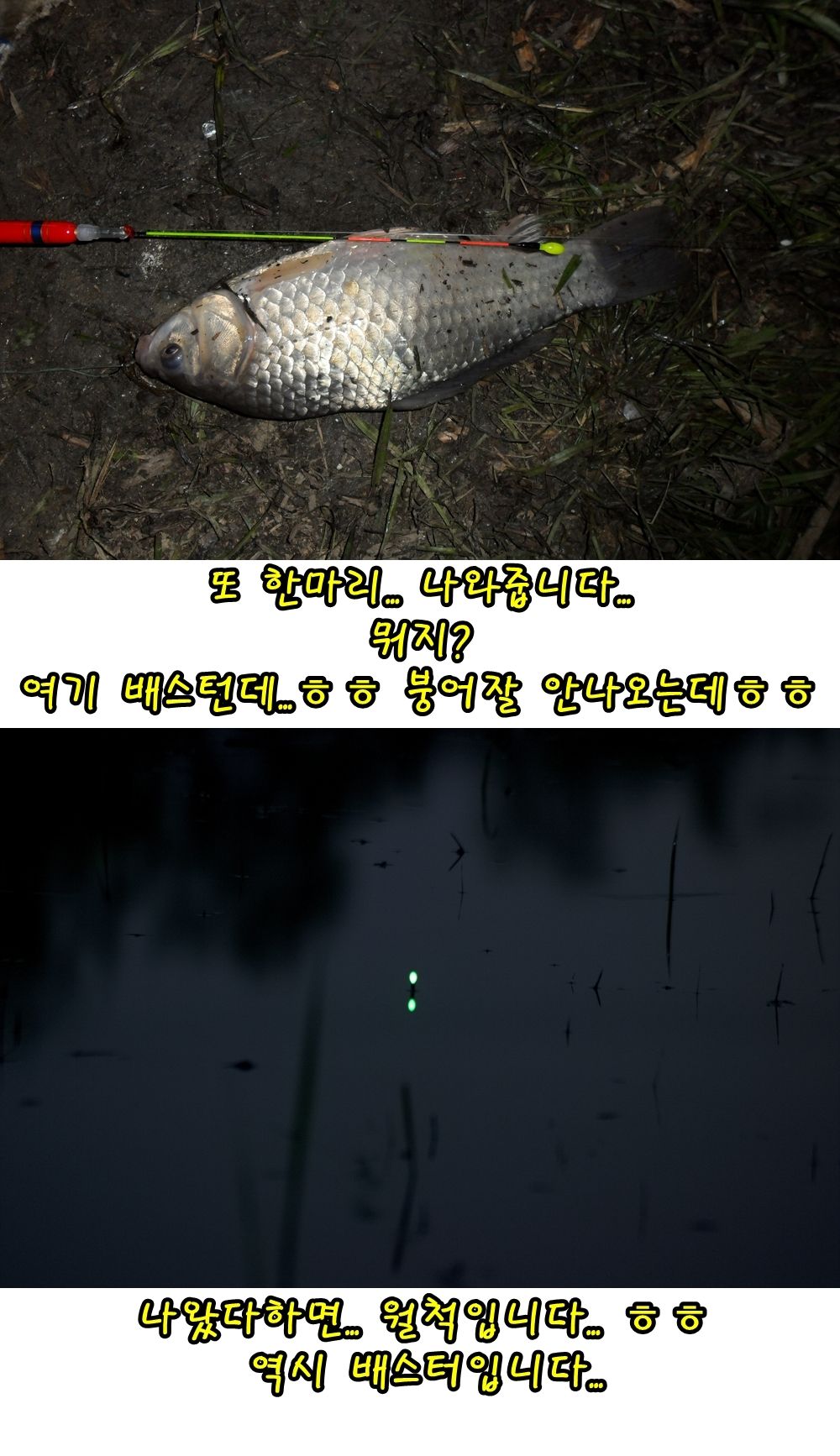 20-vert.jpg