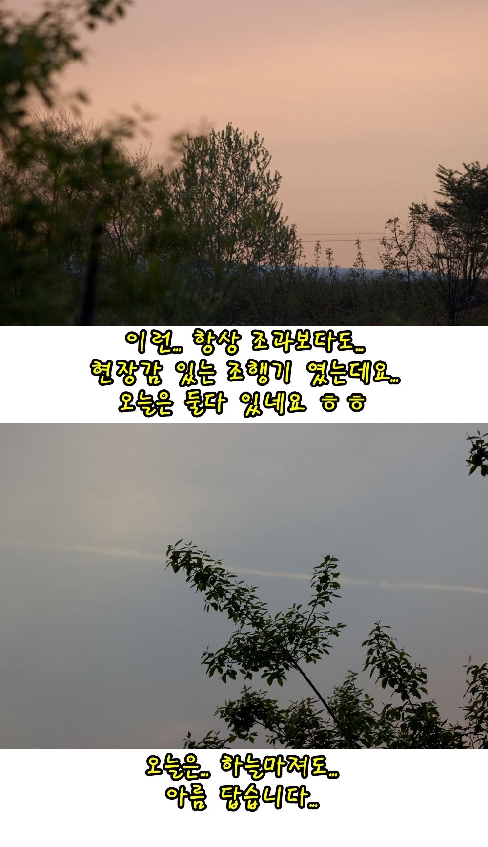 24-vert.jpg