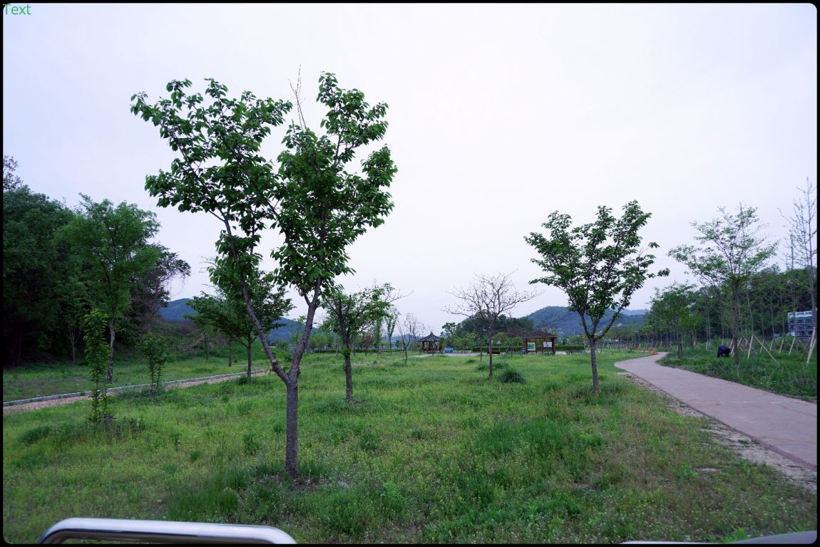 DSC07130.JPG