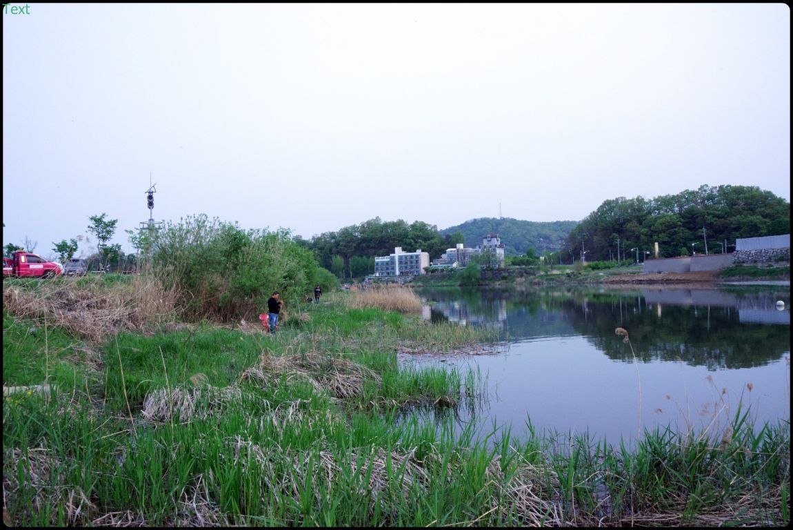 DSC07153.JPG