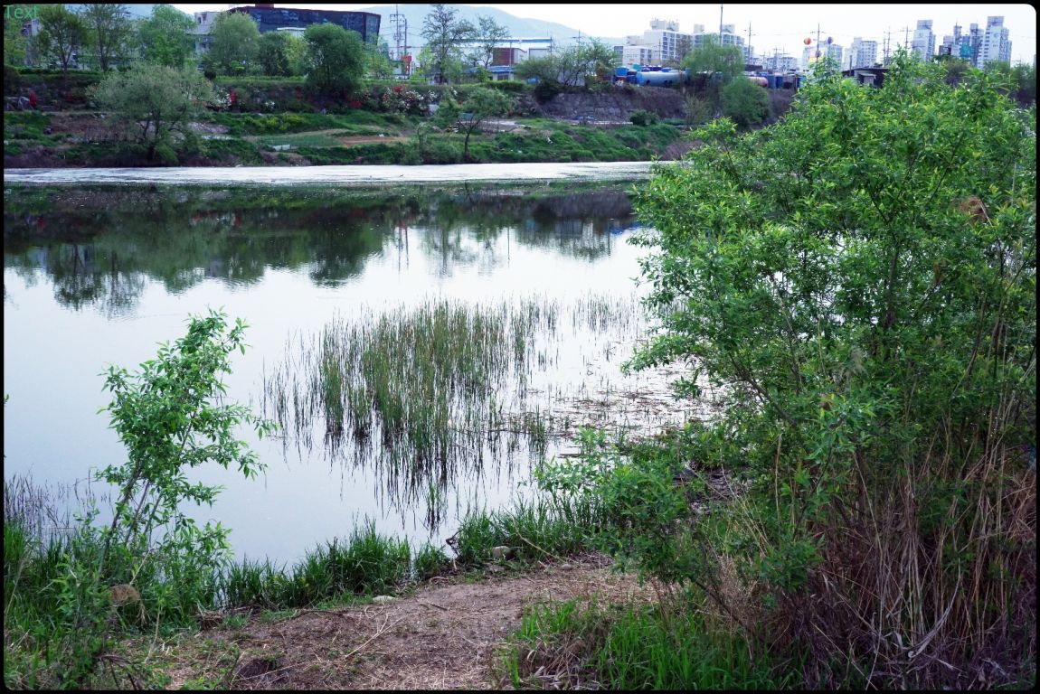DSC07165.JPG