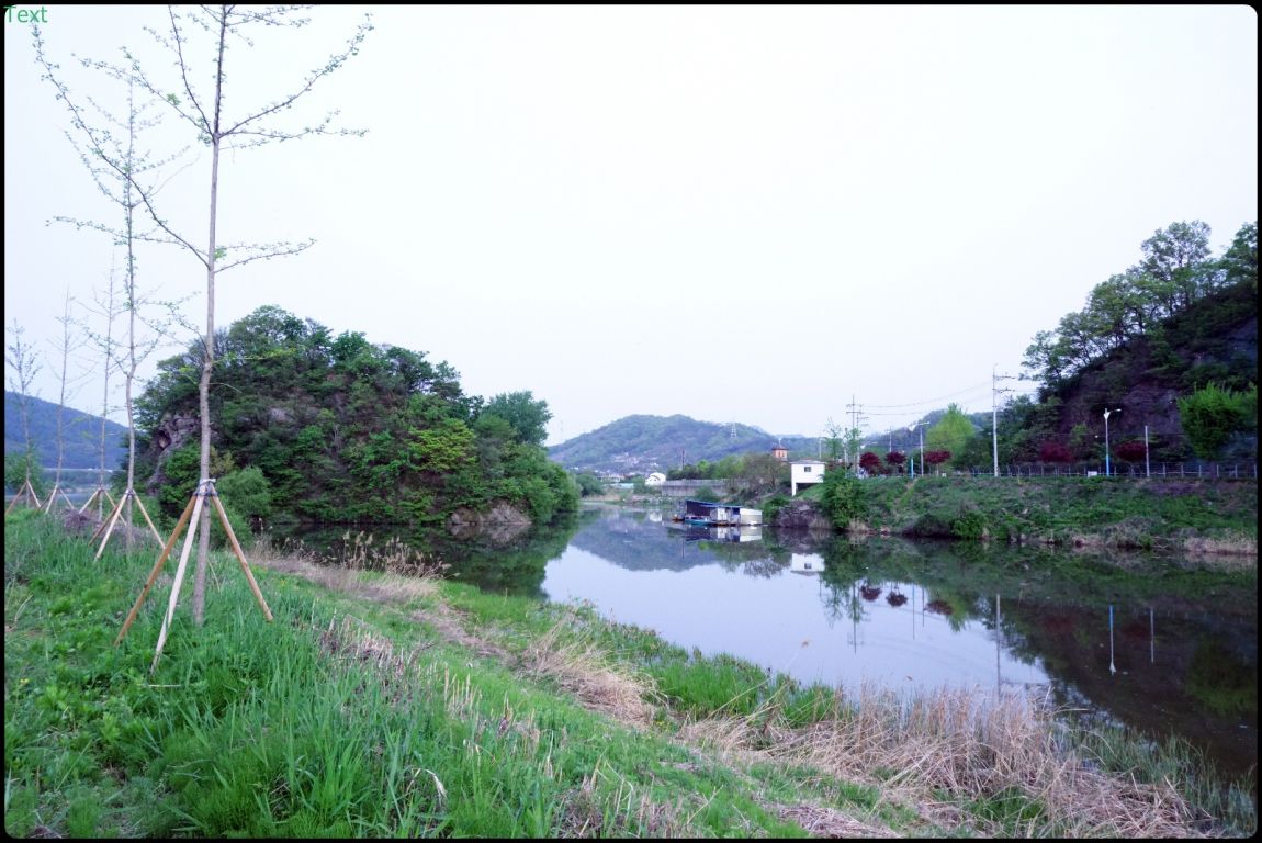 DSC07168.JPG