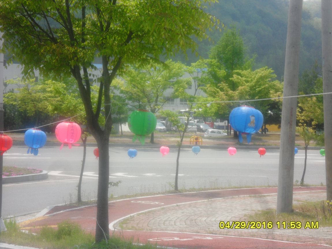 SDC10544.JPG