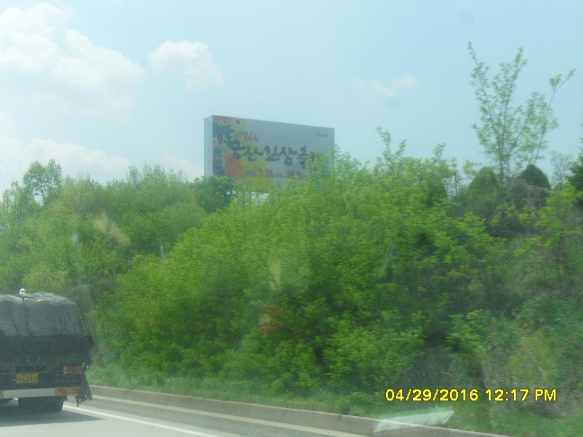 SDC10545.JPG
