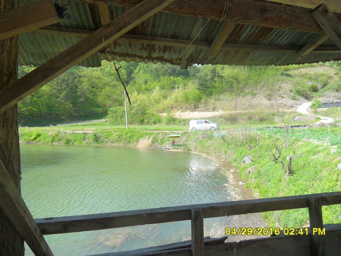 SDC10551.JPG