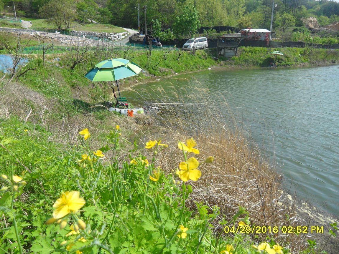 SDC10552.JPG