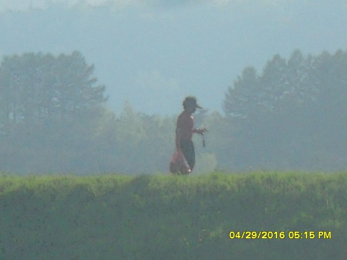 SDC10555.JPG