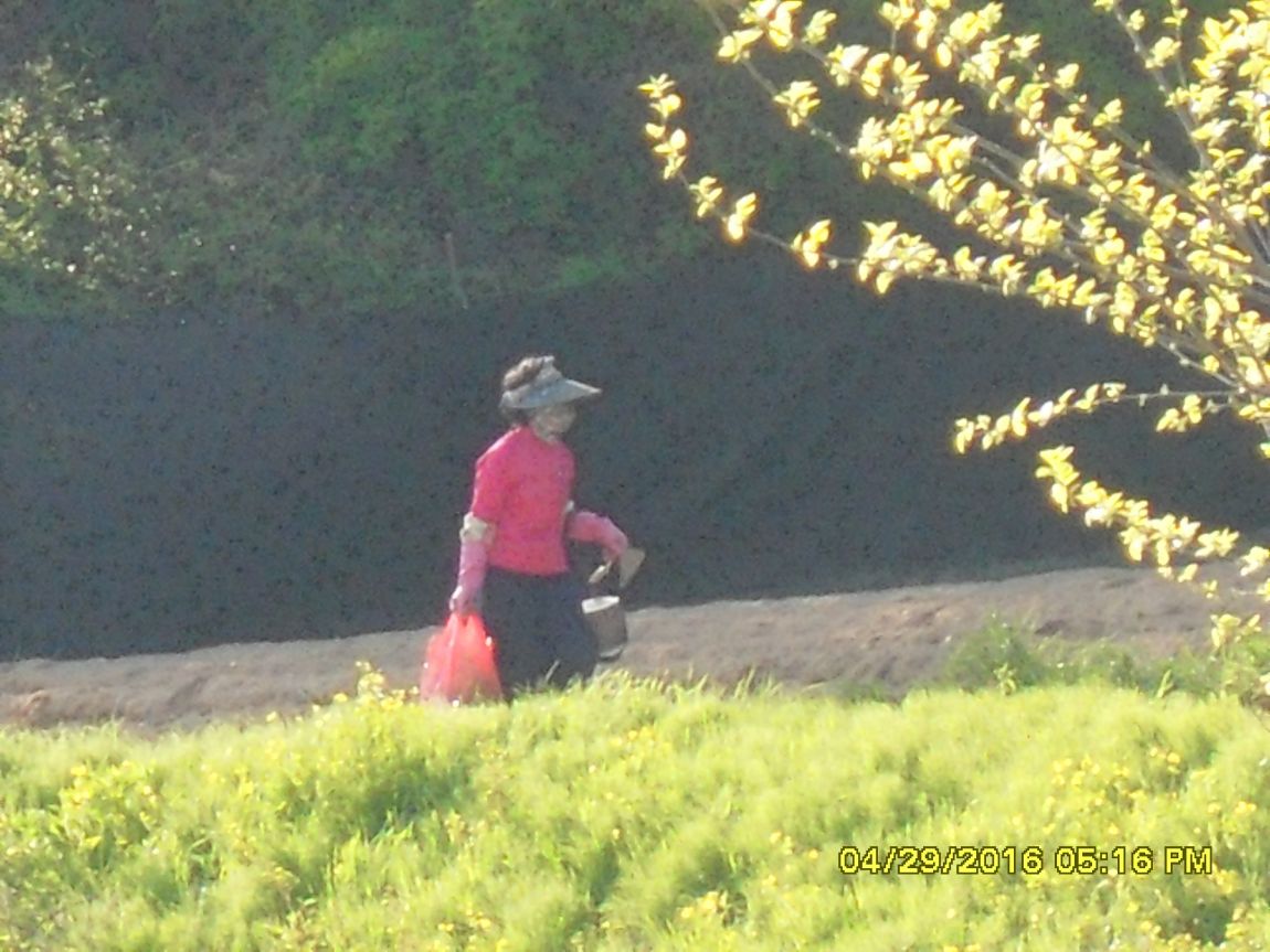 SDC10557.JPG