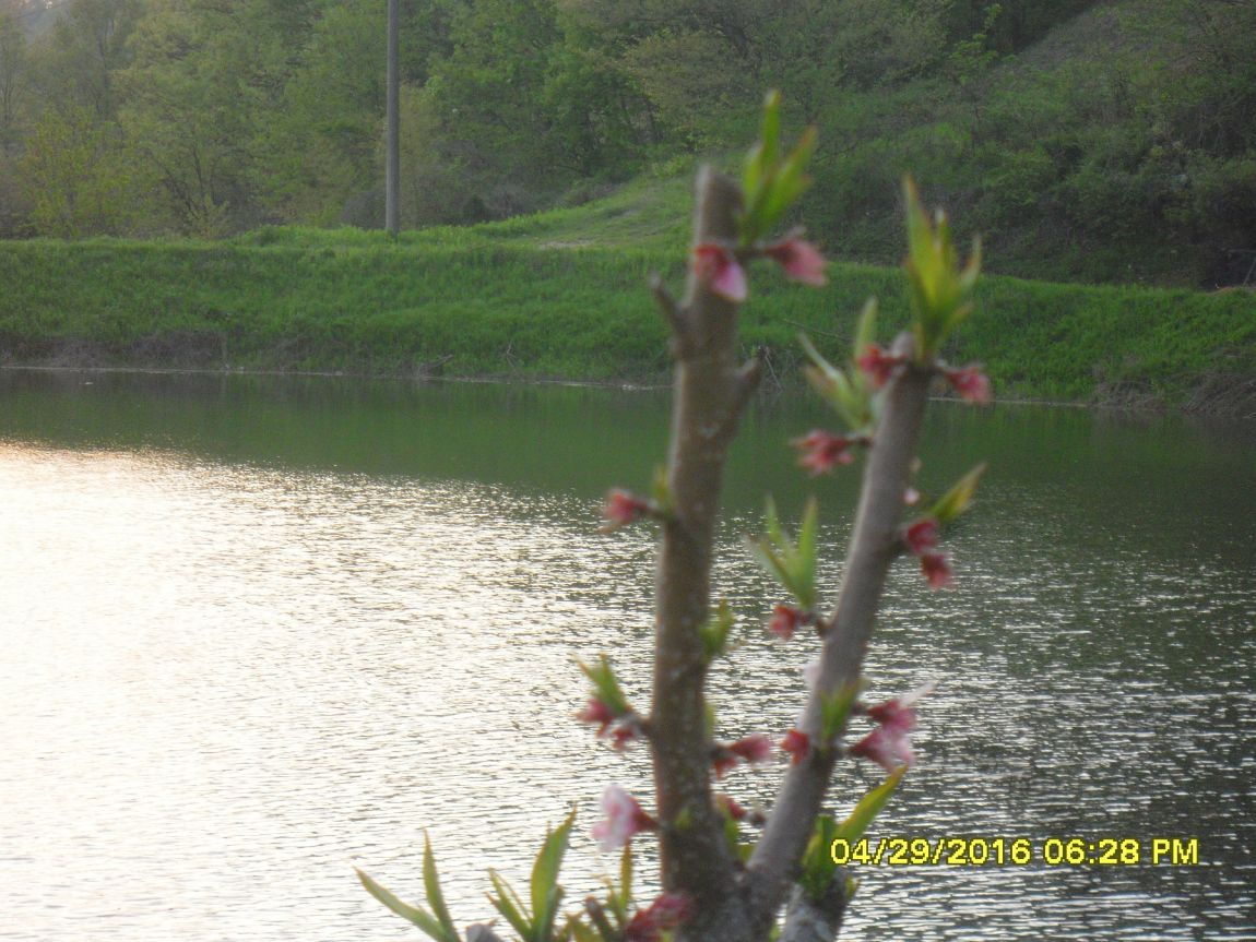 SDC10565.JPG