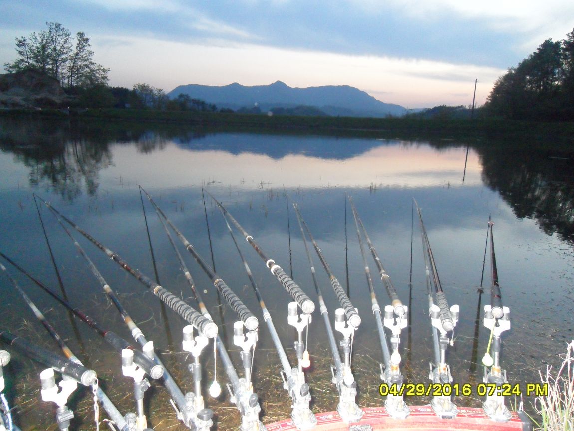 SDC10566.JPG
