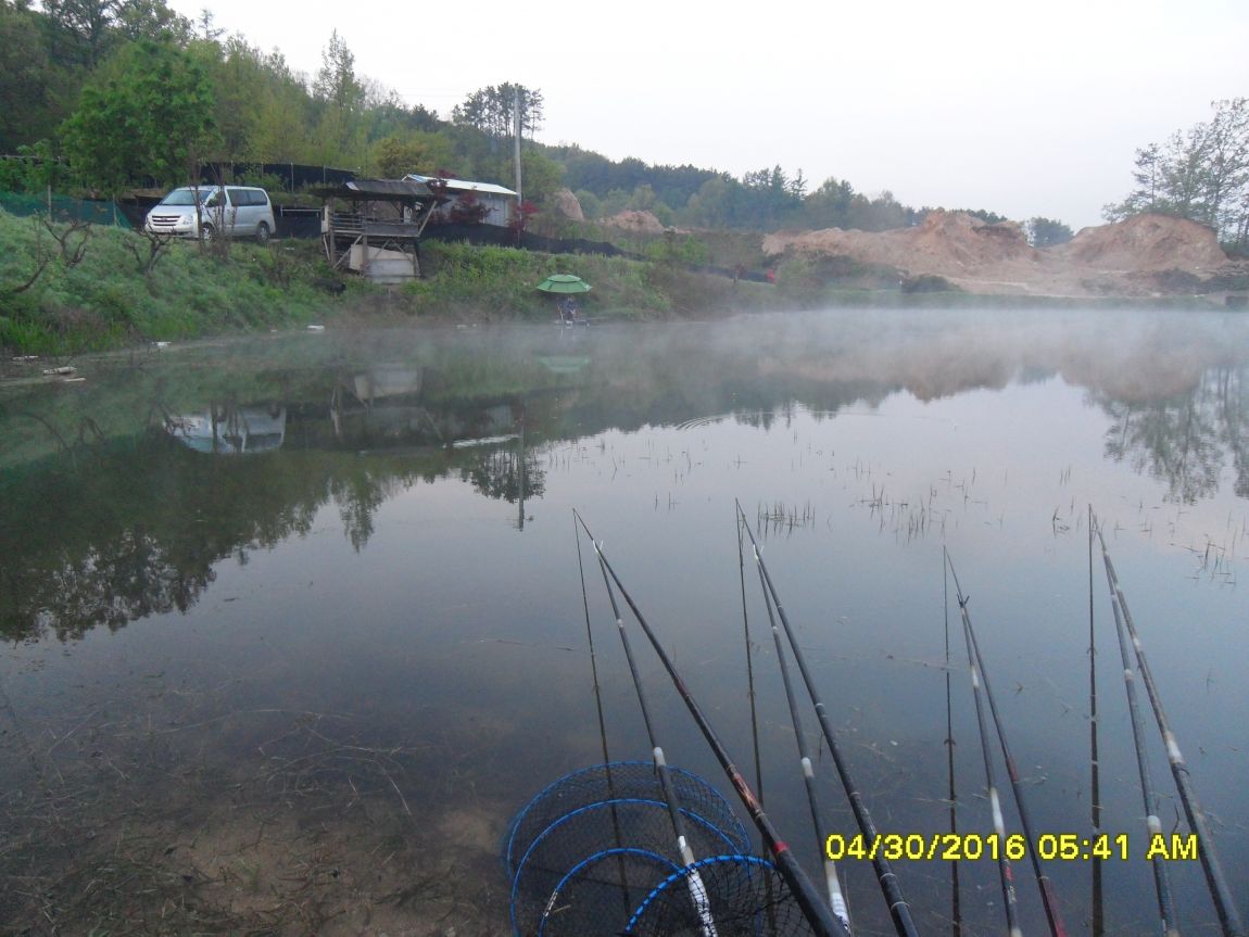 SDC10570.JPG