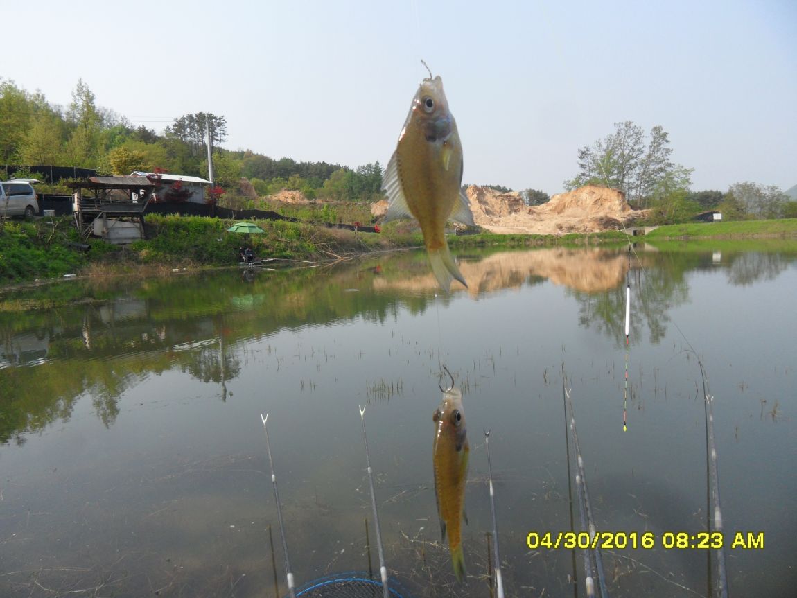 SDC10579.JPG