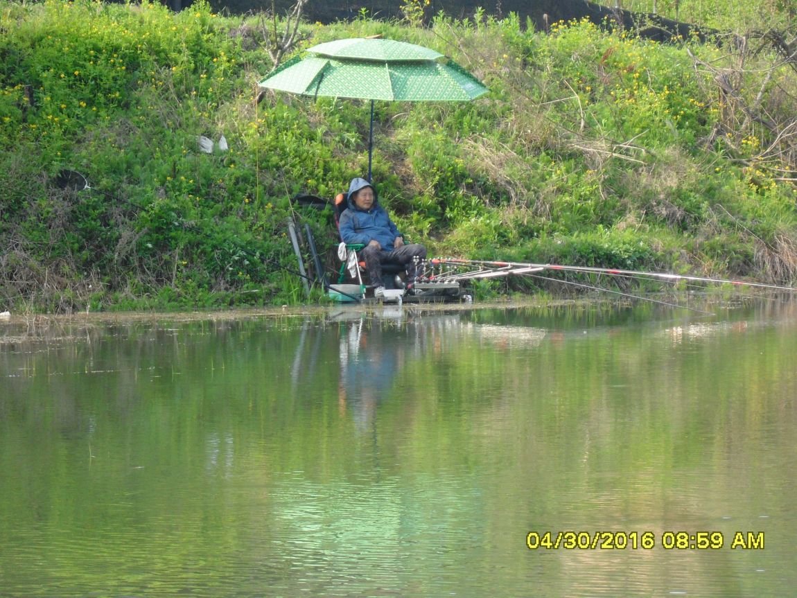 SDC10583.JPG