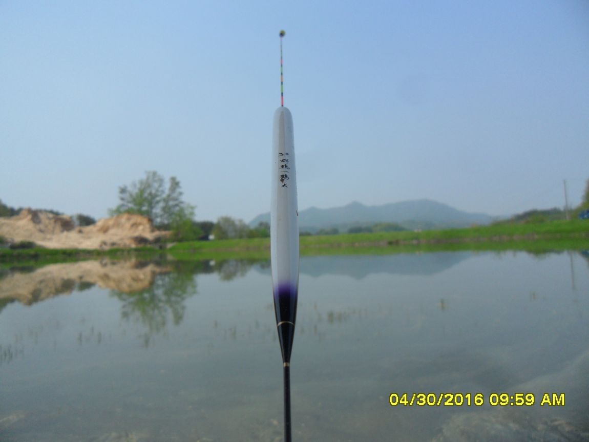 SDC10591.JPG