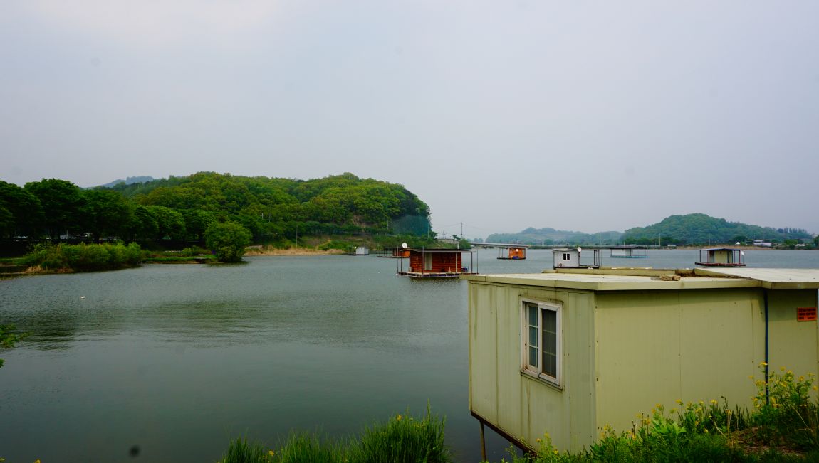 DSC05346.JPG