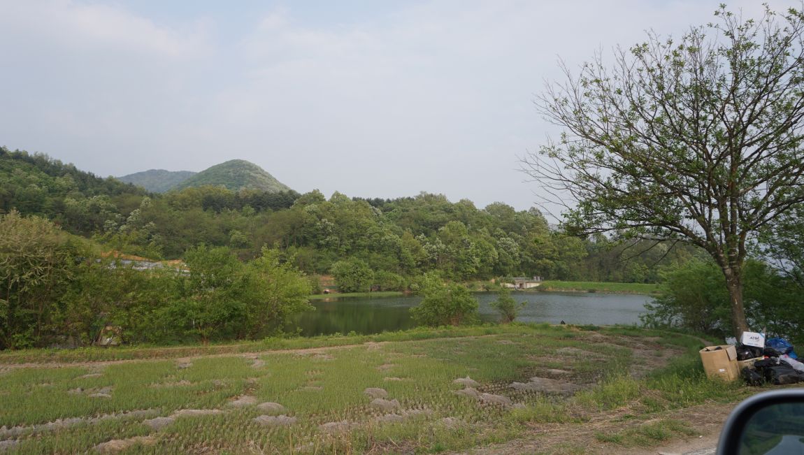 DSC05385.JPG
