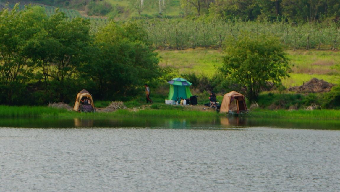DSC05391.JPG