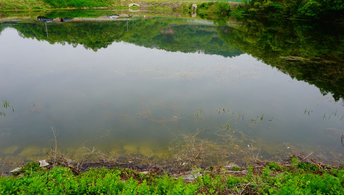 DSC05570.JPG