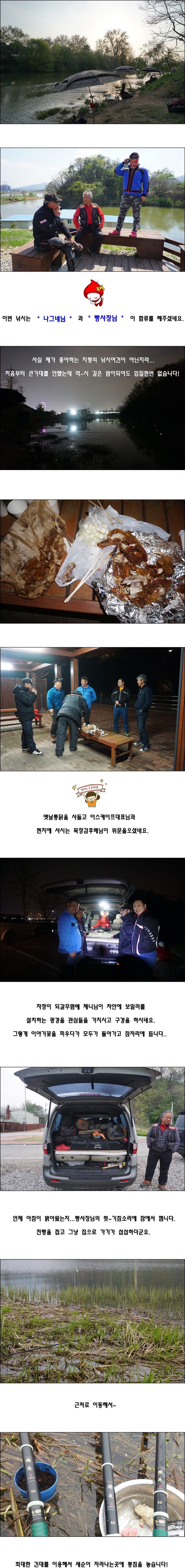 cats (19)-vert-vert.jpg