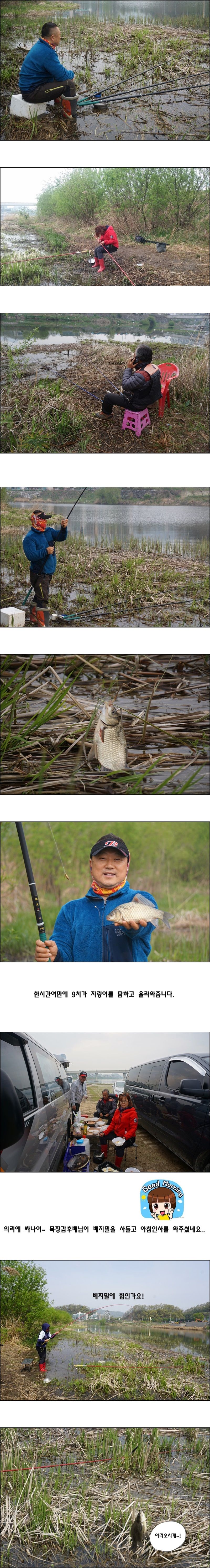 cats (27)-vert-vert.jpg