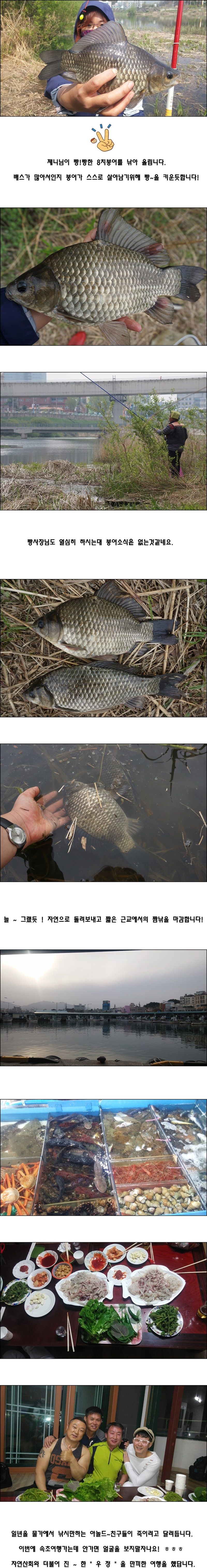 cats (36)-vert-vert.jpg