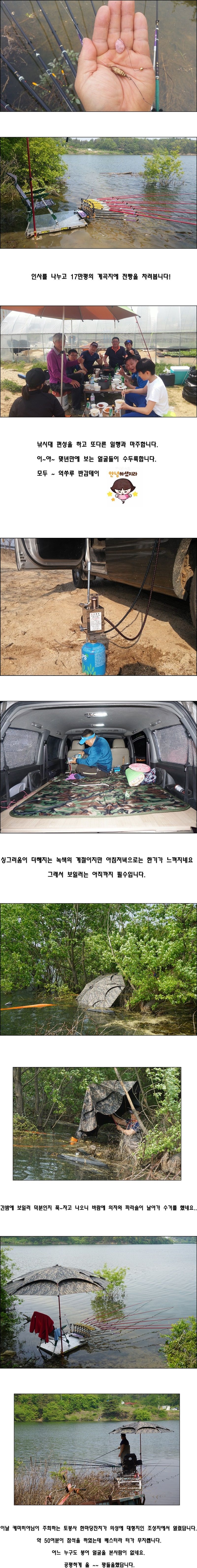 cats (54)-vert-vert.jpg