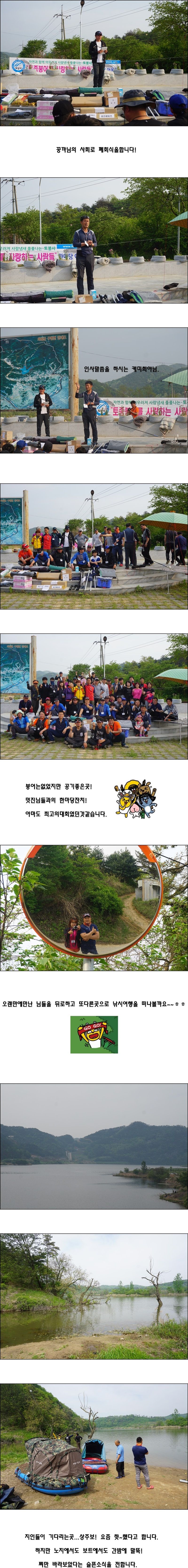 cats (63)-vert-vert.jpg