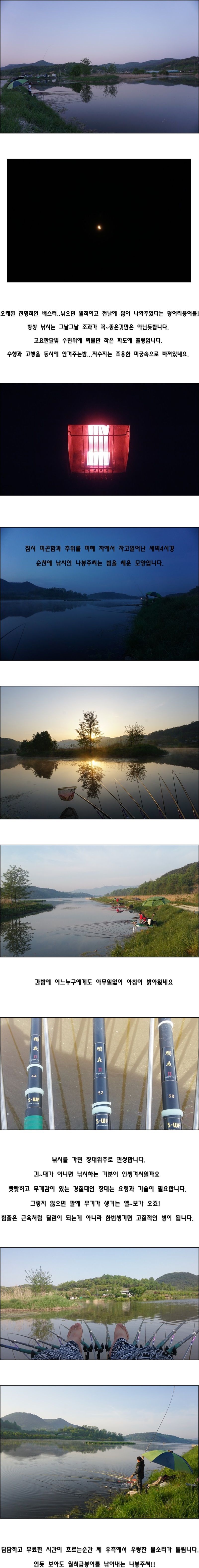 cats (90)-vert-vert.jpg