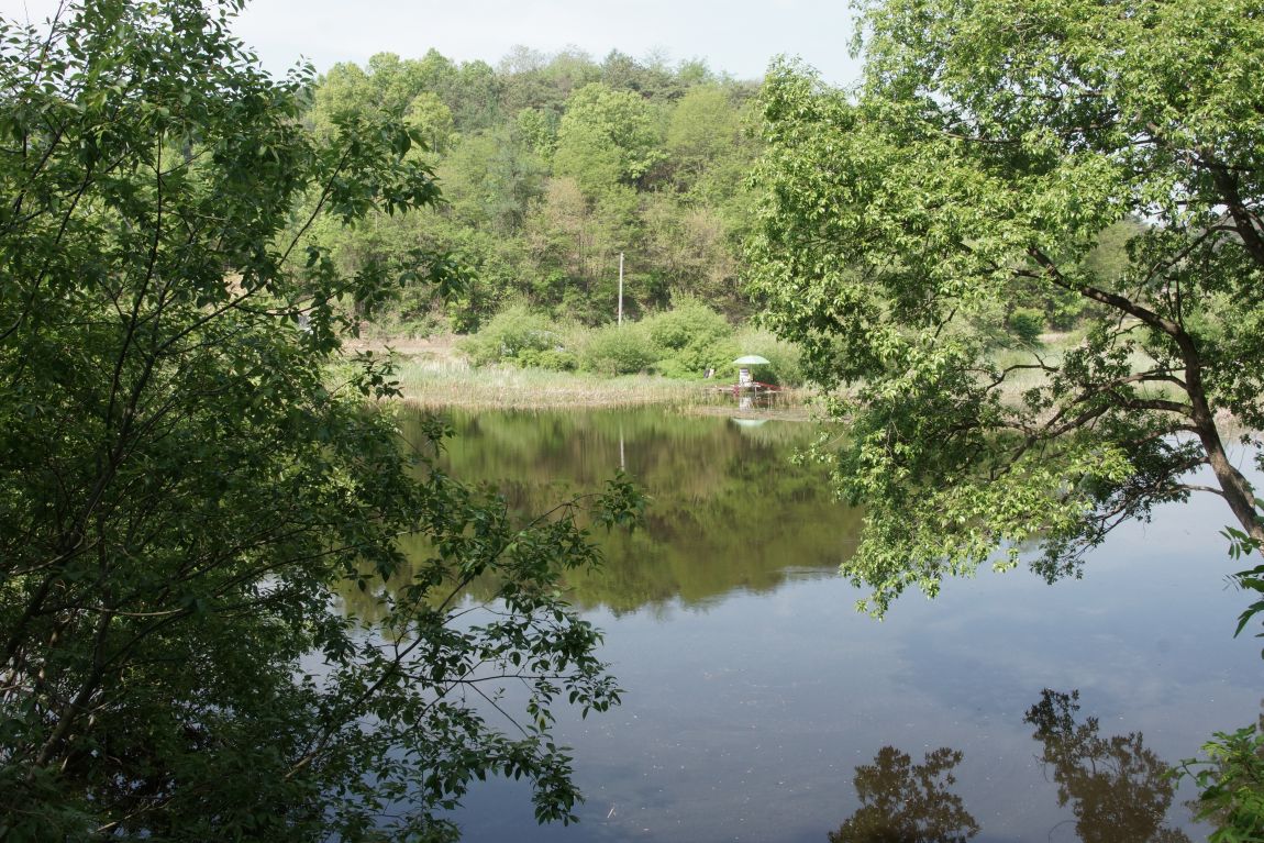 DSC04090.JPG