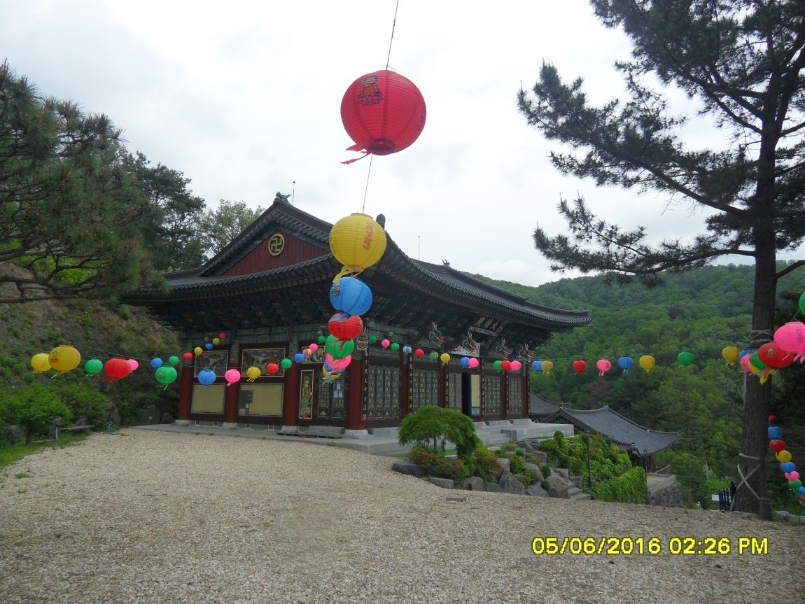SDC10666.JPG