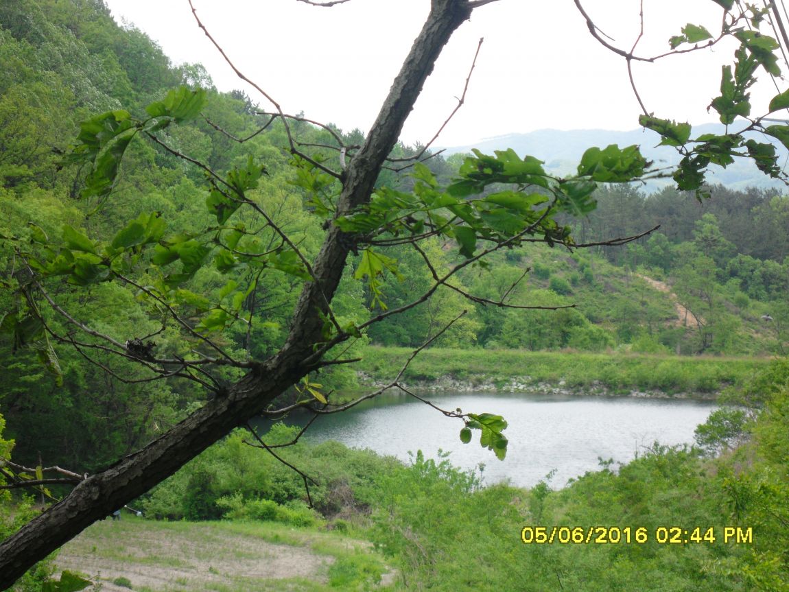 SDC10669.JPG