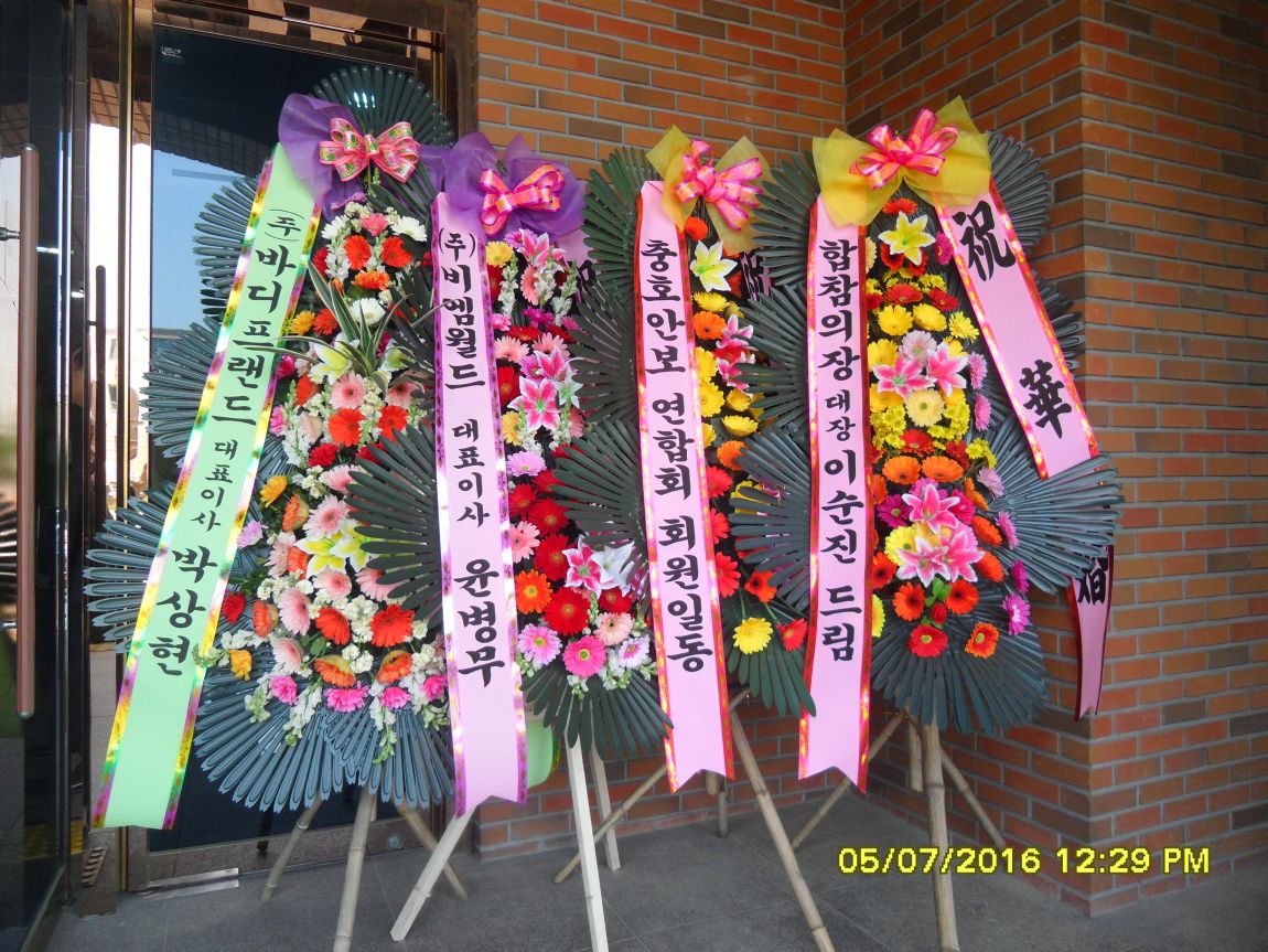 SDC10675.JPG