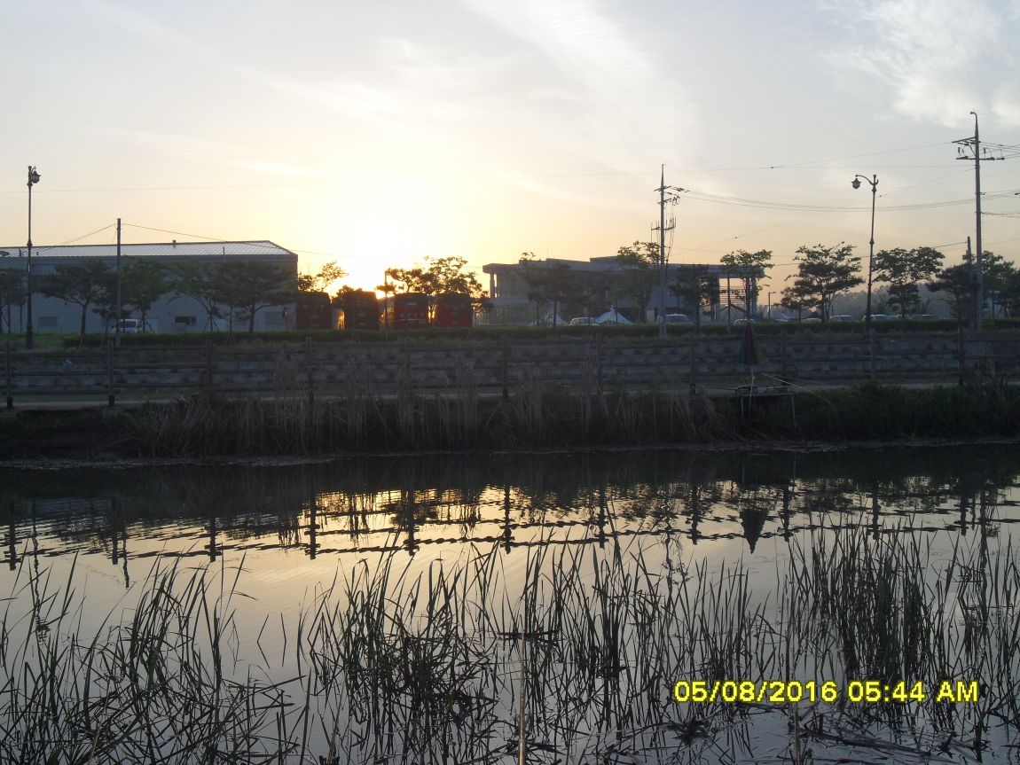 SDC10710.JPG