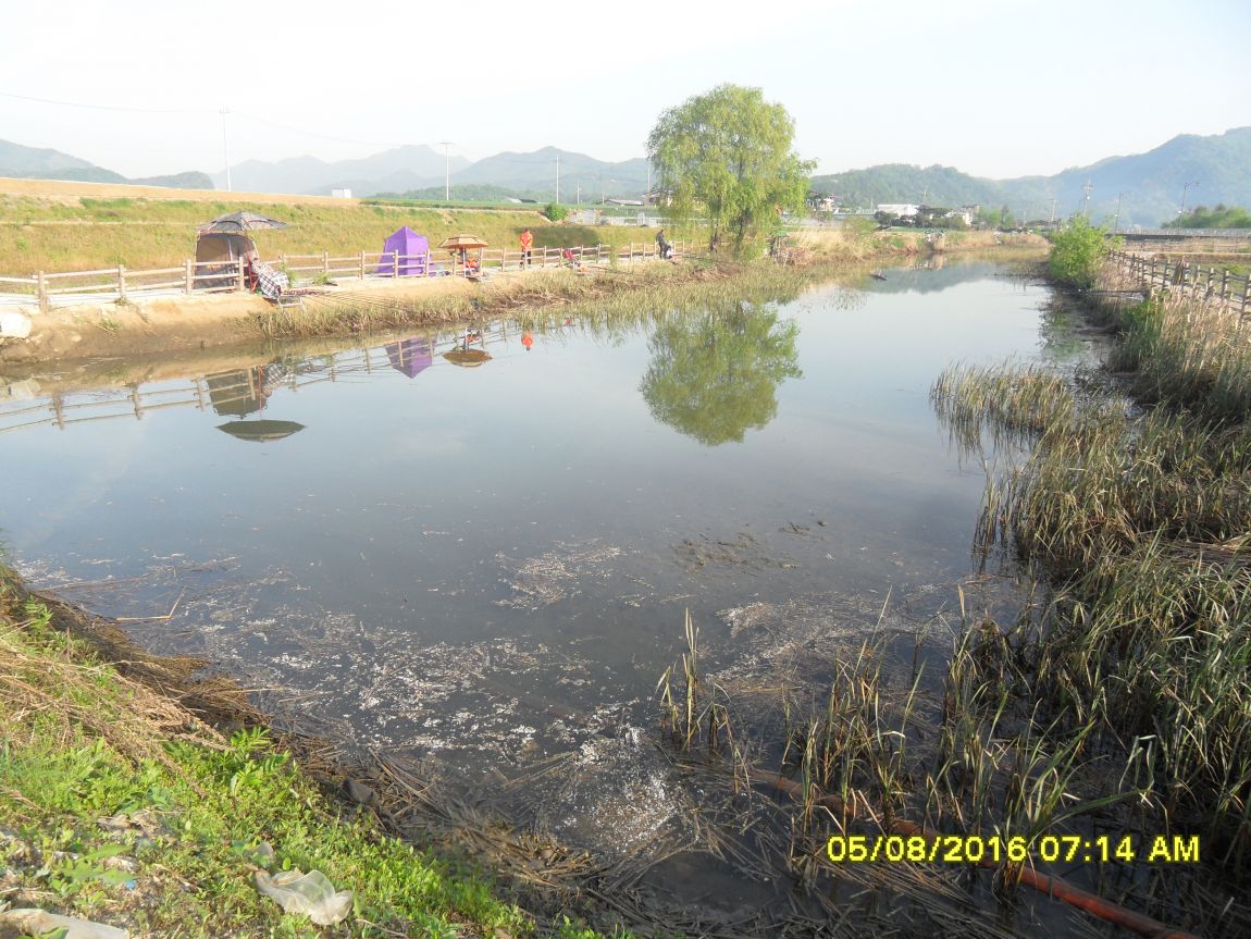 SDC10718.JPG