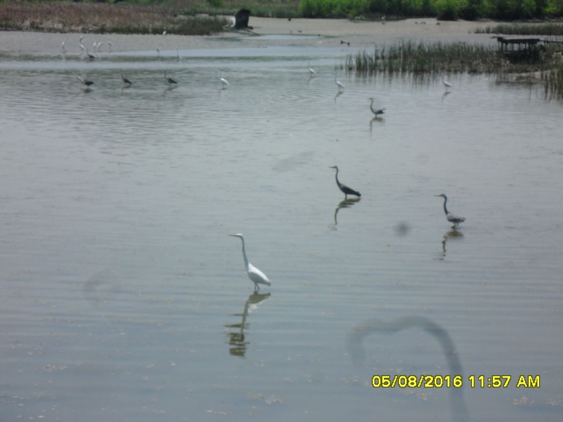 SDC10730.JPG
